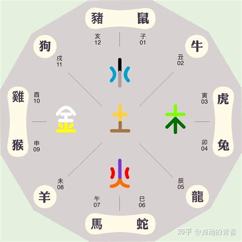 五行 地支|五行